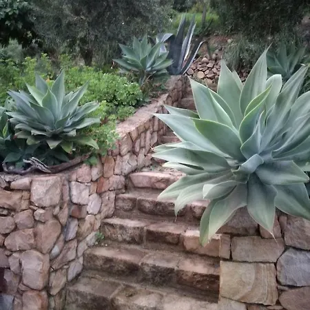 Casa Mare Celeste Holiday home *