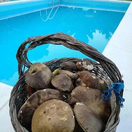 Дом отдыха Casa Mare Celeste *